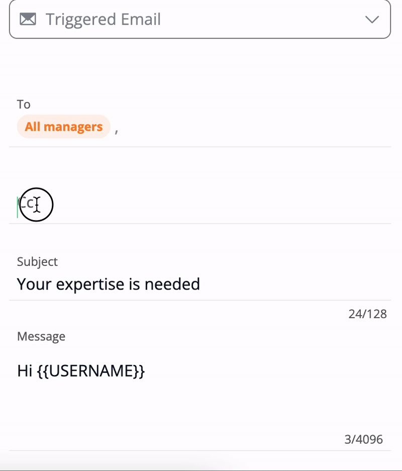 Rich Text in Triggered Email.gif