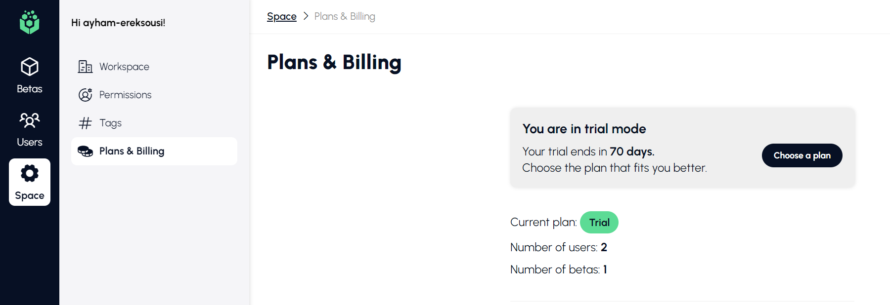 The Plans and Billing page under Space, showing the current plan and its user and beta counts